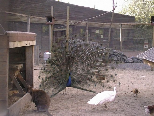  Paseo familiar por el Norle 